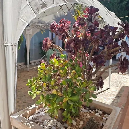 Irma 4* 크로토네