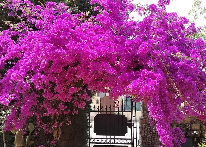 Irma לינה וארוחת בוקר 4*