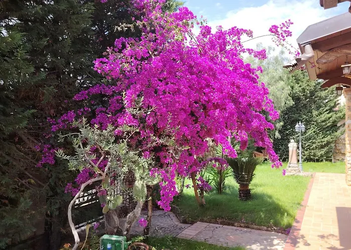 Alojamento de Acomodação e Pequeno-almoço Irma 4*